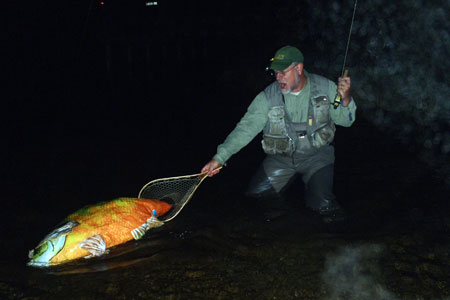 Bluegills on the Fly – Dark Skies Fly Fishing